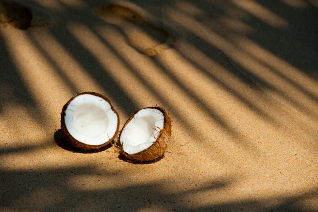 Coconut halves resting on a sunlit sandy beach, casting shadows from palm fronds.